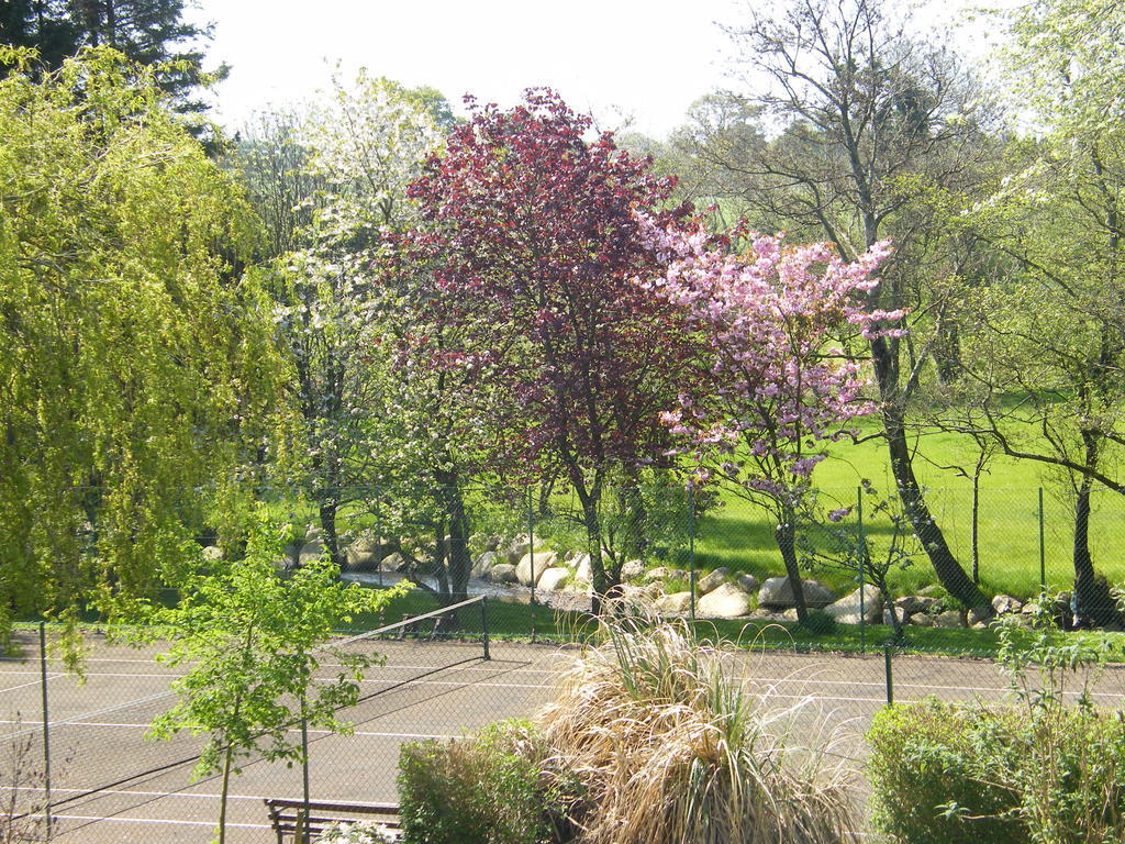 Riverfield Bed And Breakfast Gorey Luaran gambar