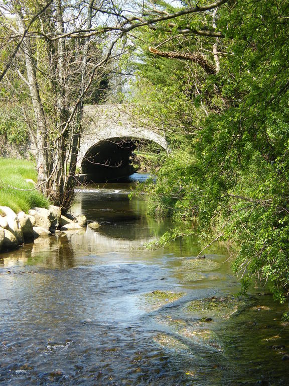 Riverfield Bed And Breakfast Gorey Luaran gambar