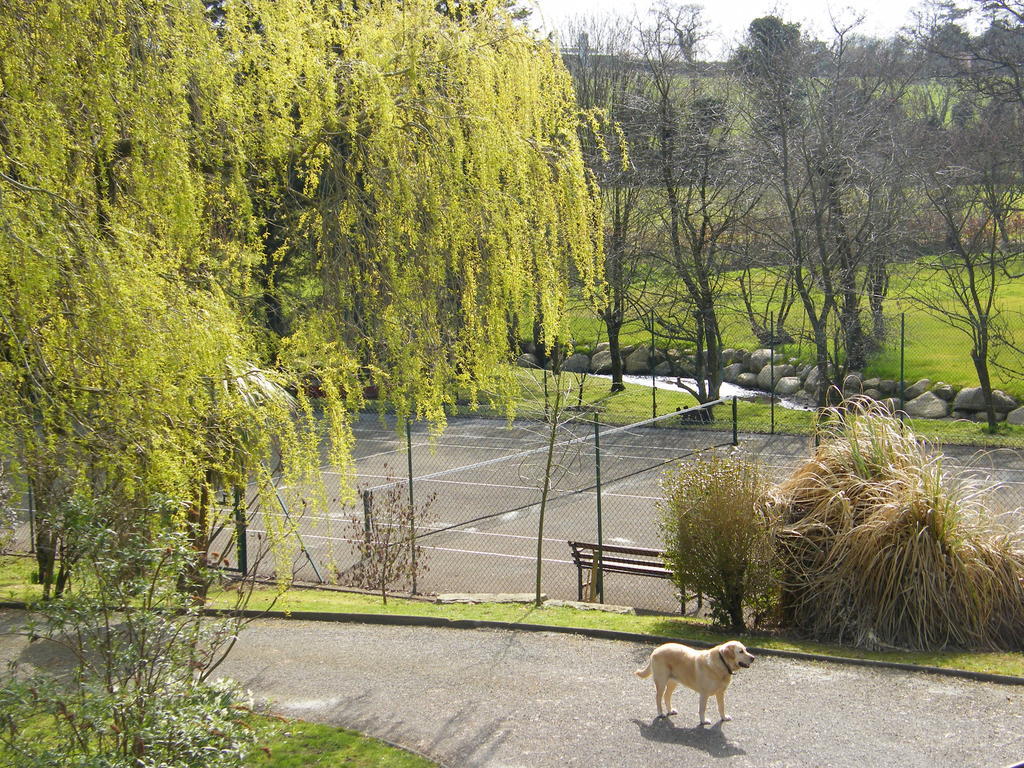 Riverfield Bed And Breakfast Gorey Luaran gambar