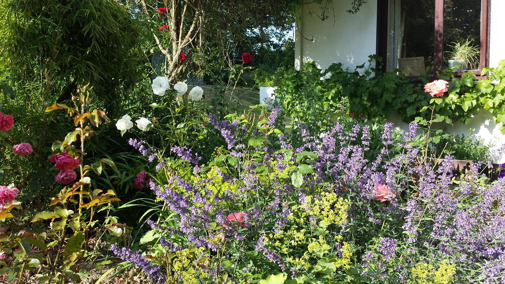 Riverfield Bed And Breakfast Gorey Luaran gambar