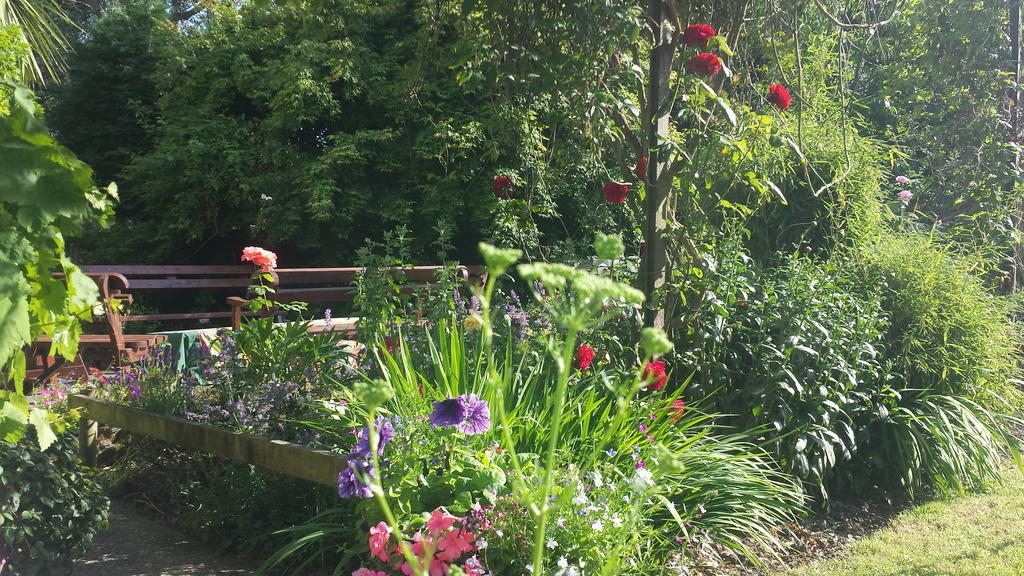 Riverfield Bed And Breakfast Gorey Luaran gambar
